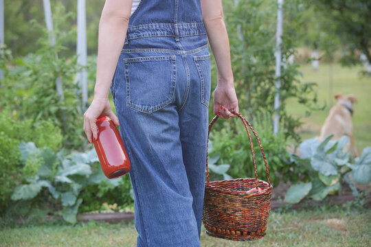Woman holding homemade tomato juice in glass bottle, farm to table concept, organic food