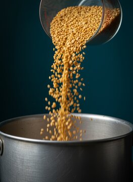 Yellow split lentils pouring from measuring glass cup into metal cooking pot