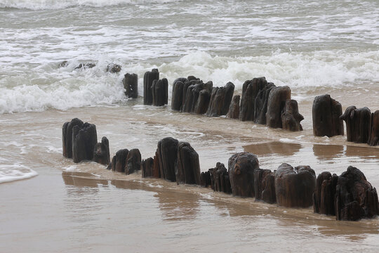 Old wooden breakwater groynes in Baltic sea waves on sandy beach.