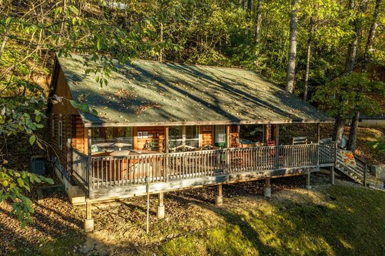 Cabin in the woods