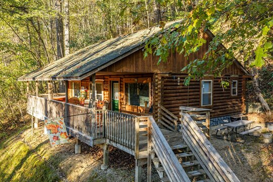 Cabin in the woods