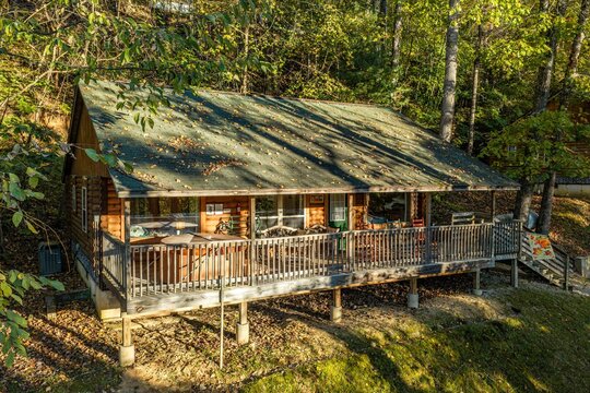 Cabin in the woods