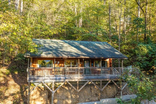 Cabin in the woods