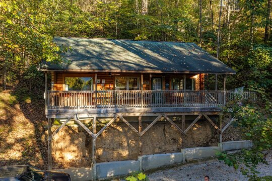 Cabin in the woods