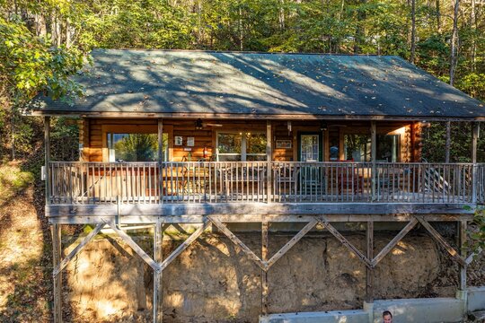 Cabin in the woods