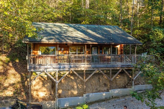 Cabin in the woods
