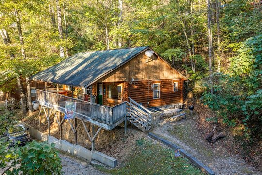 Cabin in the woods