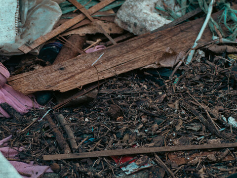 Broken wooden plank, twigs and dry leaves lying on a pile of garbage with pink cloth and plastic bags, close-up of messy urban trash and decomposing debris on the ground