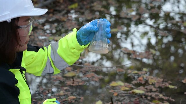 Environmental monitoring team performs scientific water sampling beside a wetland ecosystem, using sampling equipment and field records to evaluate water conditions and environmental quality.