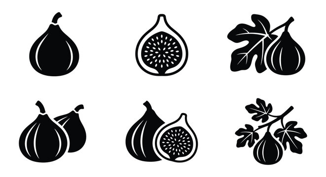 Black silhouettes of figs and fig leaves on a white background