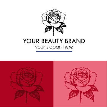 Logo design and branding with a rose illustration for a beauty brand in vector