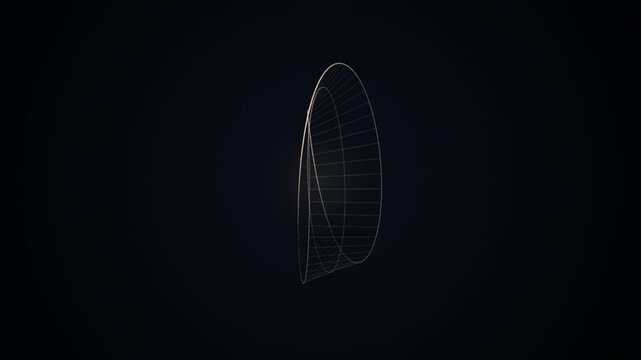 Gold wireframe rings rotating on dark background