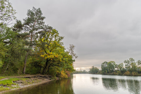 autumnal colored trees on vegetated lakeshore, lake with recreatonal place in Rhein valley, autumnal colored trees with orange and red leaves