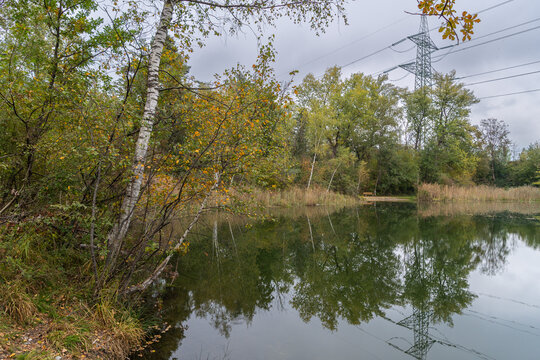 autumnal colored trees on vegetated lakeshore, lake with recreatonal place in Rhein valley, autumnal colored trees with orange and red leaves