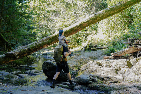 Father Carrying His Son Across a Forest Stream