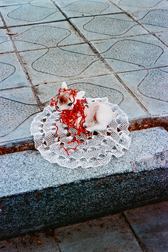a crocheted doily on the street holds a Christmas deer, 35mm film