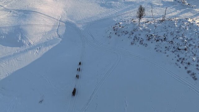 Aerial view of a dog sled team moving across the snow at the Hemsedal Ski Resort in Hemsedal, Buskerud, Norway.