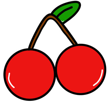 cherry fruit vector illustration