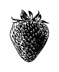 This image features a black-and-white sketch illustration of a fresh strawberry, complete with leaves at the top. © Danang
