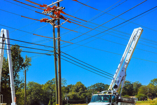 Two utility trucks lift their booms near power lines beside trees in roadside area during road construction work