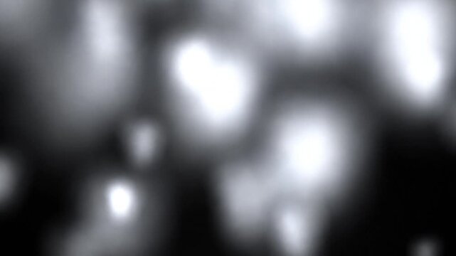 Black screen with subtle motion and camera movement