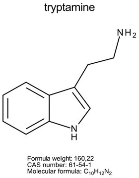 Chemical structure of tryptamine, drug substance