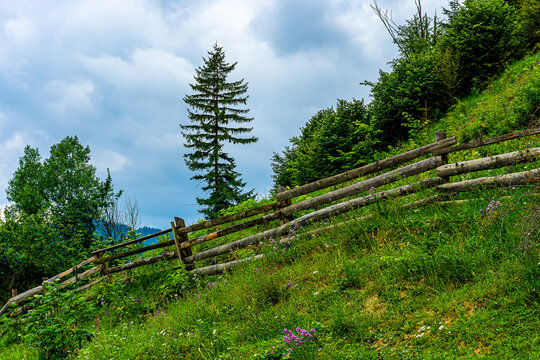 Green mountain pasture with wooden barrier