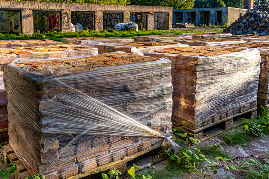 Das verlassene und teils verfallene Gel&auml;nde einer ehemaligen Nerzfarm in Bergen auf R&uuml;gen, Flachbauten, Graffiti und die nachwachsende Natur pr&auml;gen diesen verlassenen Ort, Bergen, R&uuml;gen, 
