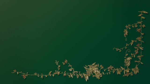 Extending dried vine and pods along green studio backdrop with frames advancing, forming L corner