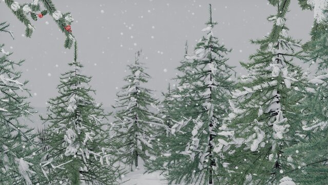 Evergreen trees are standing in flat design with snowy branches, red berries, falling snow
