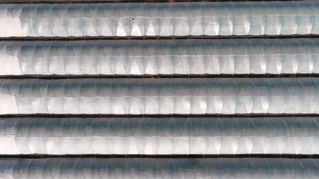 Aerial view of translucent greenhouse roofs in parallel rows with repeating curved panels, bright daylight reflections, and strong geometric texture across rural farmland setting.