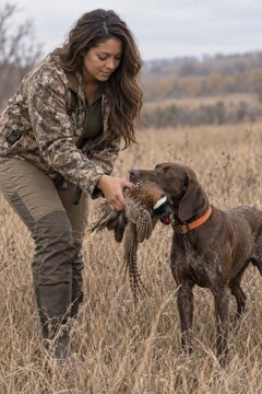 Female hunter taking pheasant from hunting dog in dry grass field during upland bird hunt