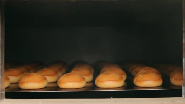 Buns baking industrial oven tray. Close up golden bread rolls bakery factory.