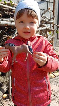 A little girl (child) plays with toy animals outdoors, part of a series, the girl is holding a toy horse and saying something