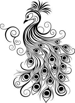 Peacock Tattoo Style Line Art Illustration Isolated on White