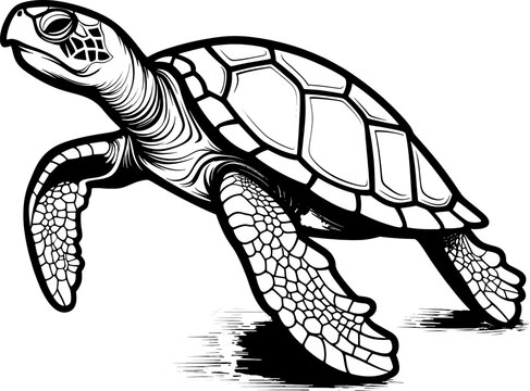 Sea Turtle Thick Line Art Tattoo Style Illustration