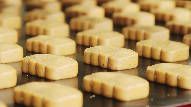 Cookie dough conveyor belt close up. Unbaked biscuits factory production line.