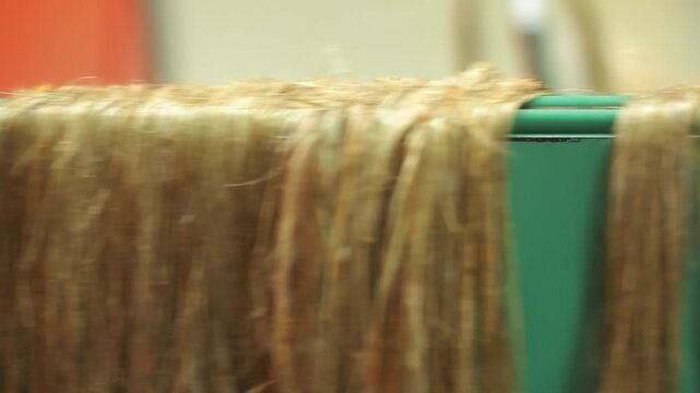 Raw flax fibers moving conveyor textile mill. Close up linen processing machine.