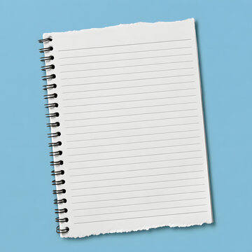 A notebook with lined pages and a worn spiral binding