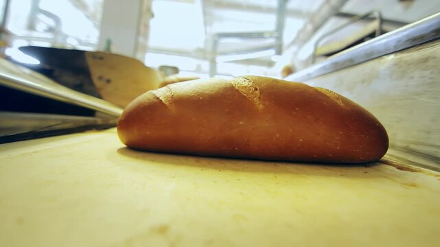 Bread loaf moving conveyor belt bakery factory. Low angle close up fresh baton.