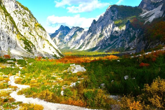 View of alpine landscape in Tamar valley with yellow colored autumn bushes and an orange colored forest foliage in Julian alps, Gorenjska, Slovenia