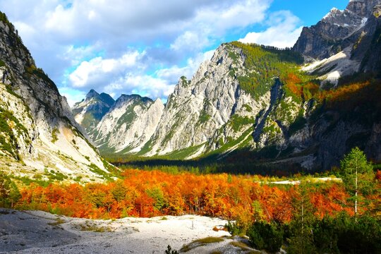 View of Tamar valley bellow Slemenova &Scaron;pica mountain with a scree and an orange colored broadleaf, deciduous forest in Julian alps, Gorenjska, Slovenia