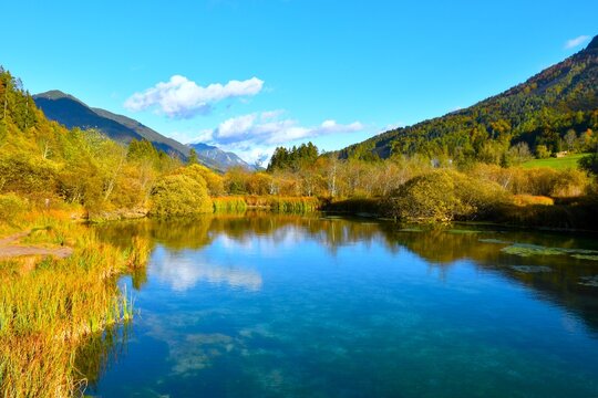 View of lake at Zelenci at the spring of Sava Dolinka near Kranjska Gora with a reflection in the water in Gorenjska, Slovenia