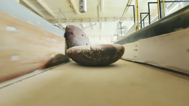 Loaves riding conveyor bakery plant. Low angle POV brown bread food production.
