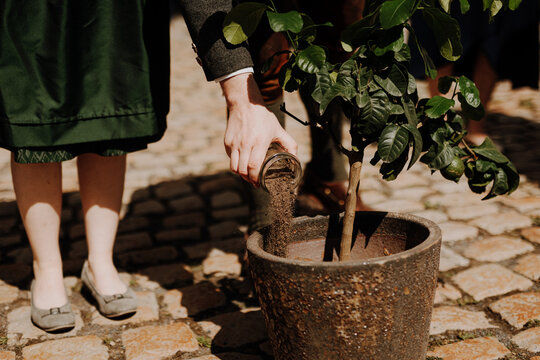 Pouring soil from a jar into a pot with a small tree