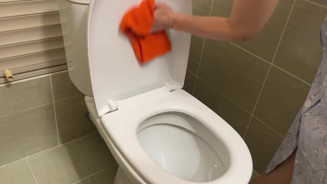 Comprehensive bathroom sanitation, Meticulous cleaning and examination of all bathroom toilet parts, Extensive cleaning procedure including detailed inspection of every toilet component and area