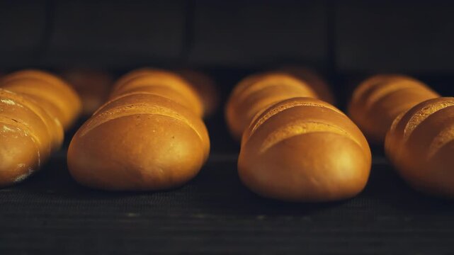 Rows white wheat loaves moving oven conveyor closeup. Bread baking plant dark.