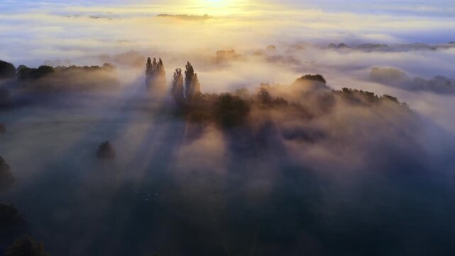 Aerial view of golden sunbeams through fog and poplars Heaton Park, Prestwich - Manchester