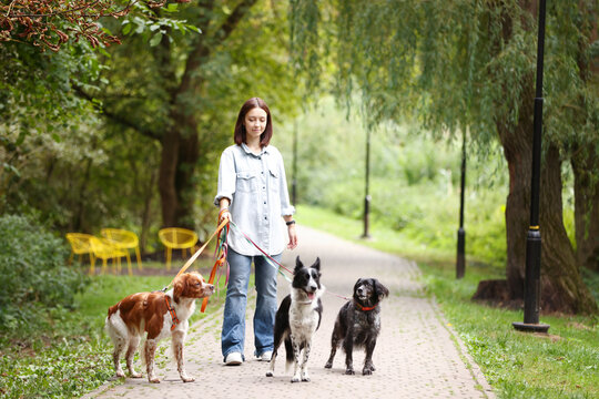 Woman walking her cute dogs in park, space for text