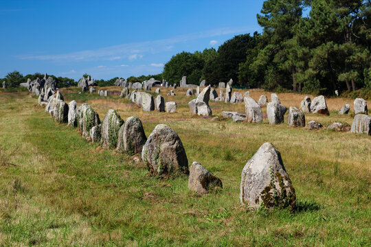 Ancient standing stones of the Alignements de Kermario megalithic site in Carnac Brittany France
